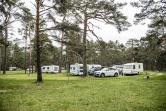 camping_refugio_pescadores_parcelas_10